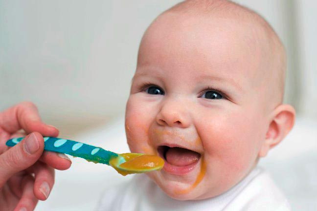 Cinque nutrienti essenziali per il tuo bambino dopo i primi 6 mesi! | Spio Kids