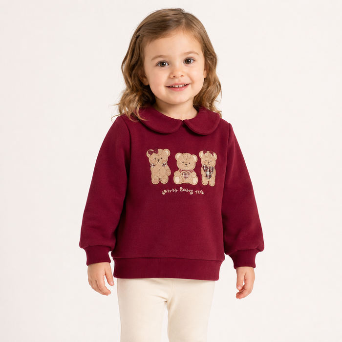 Felpa Neonato Bordeaux con Ricamo Orsetti NF.102730